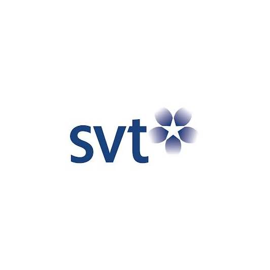Logo 13